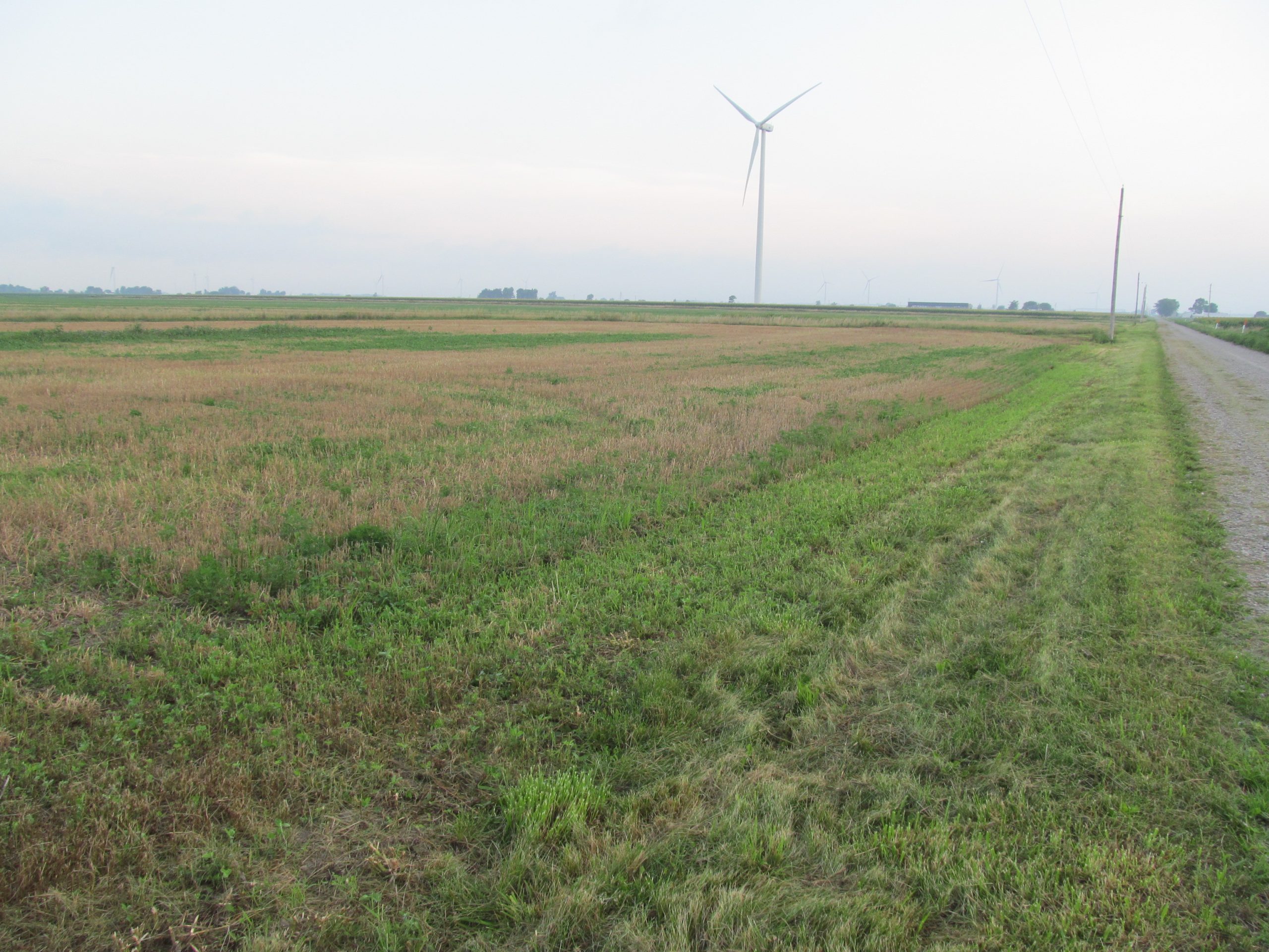 LAND AUCTION 30+ Acres Latty Twp., Paulding County, Ohio Gorrell